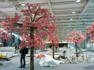 Bastidores Diabetes 2011