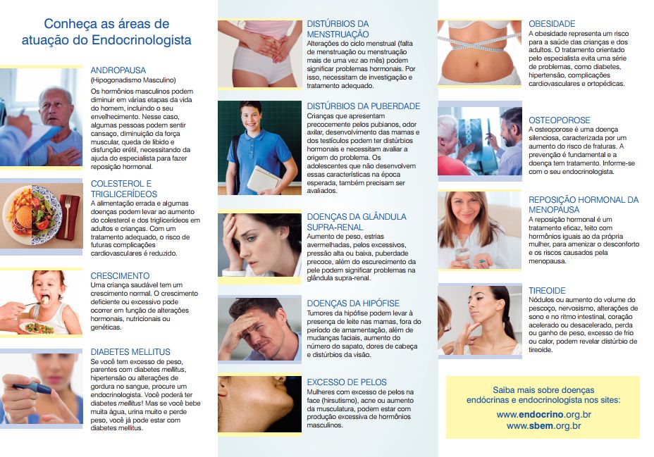areas de atua&ccedil;&atilde;o do endocrinologista