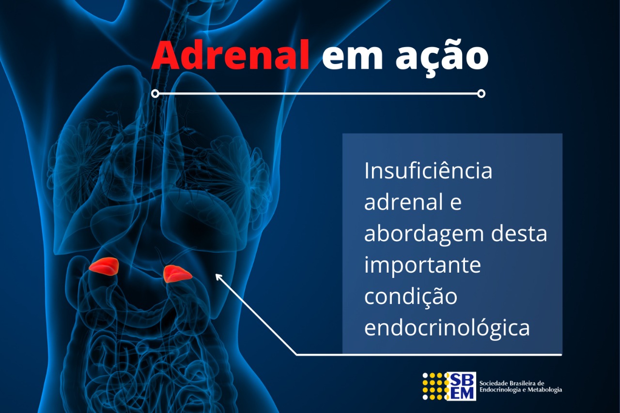 Insuficiência adrenal: Abordagem endocrinológica