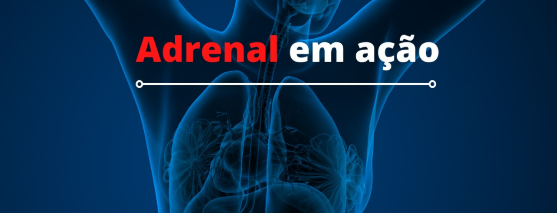Adrenal em Ação