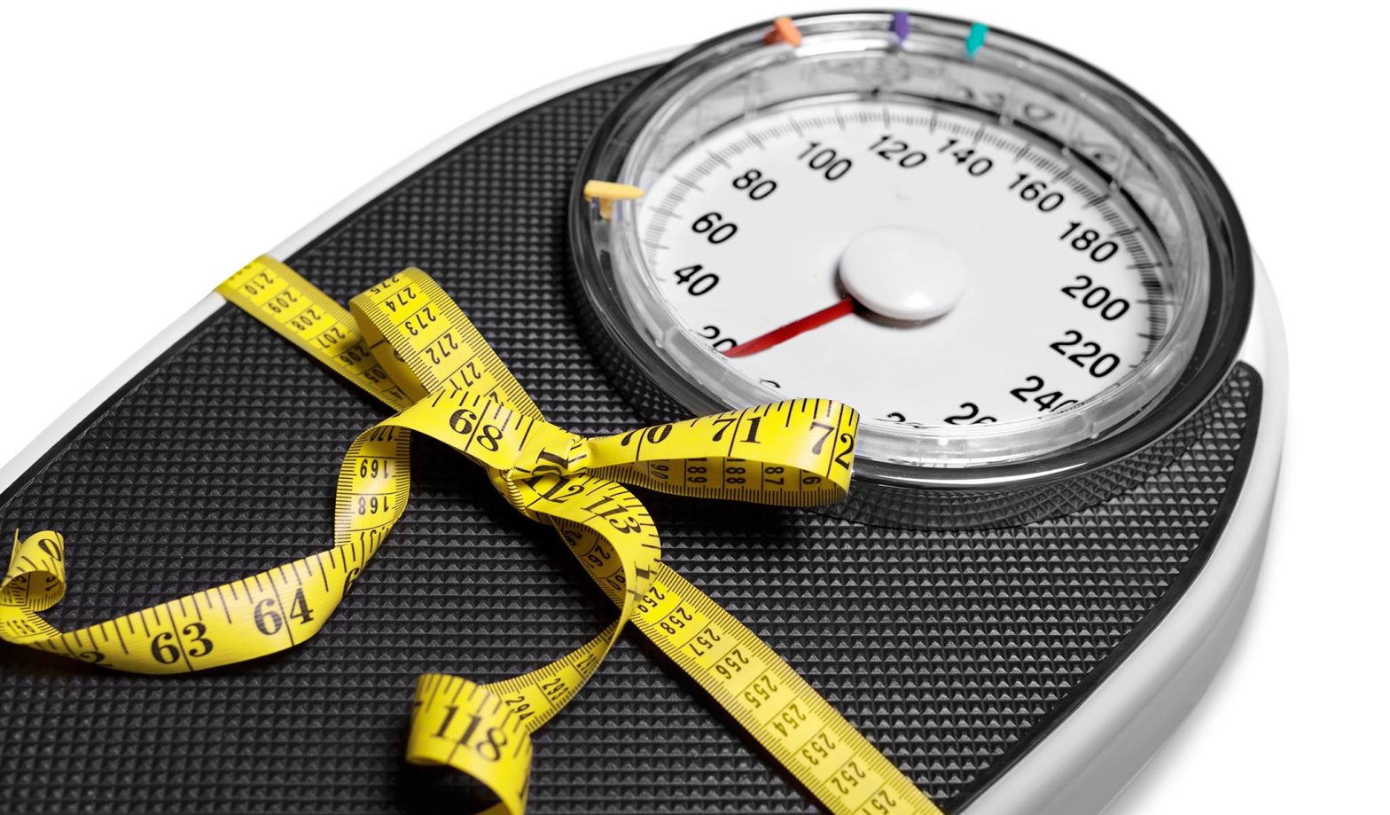 Obesidade, Endocrinologia Feminina e Andrologia