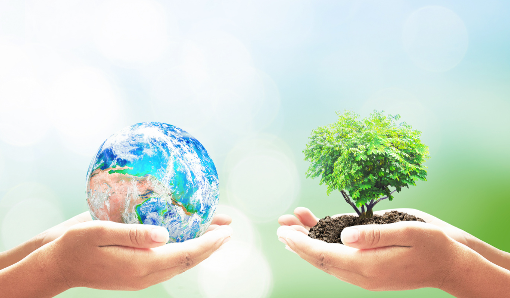 Meio Ambiente, Endocrinologia e a COP 27