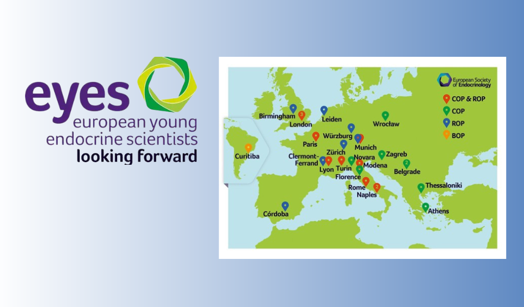 European Young Endocrine Scientists e a Parceria Internacional com a SBEM
